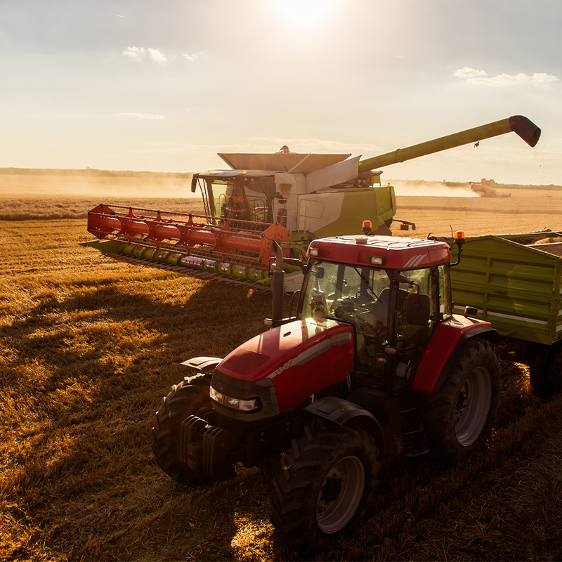 Agriculture Leasing in Kenya
